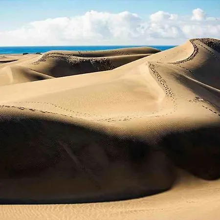 Maspalomas Oasis Club 马斯帕洛马斯